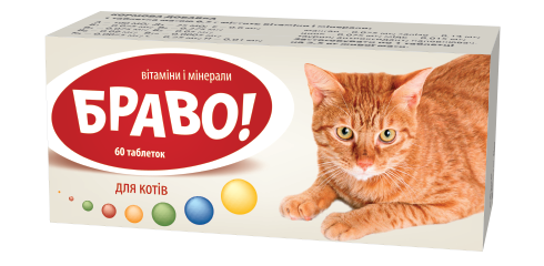 БРАВО для котів