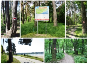  «Маршруты здоровья» теперь и в GPS