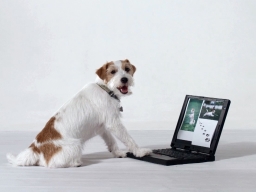 Стартував інтернет-проект для препарату Аурікап