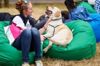 «Артериум» - спонсор мероприятия My Pet «Артериум» - спонсор мероприятия My Pet